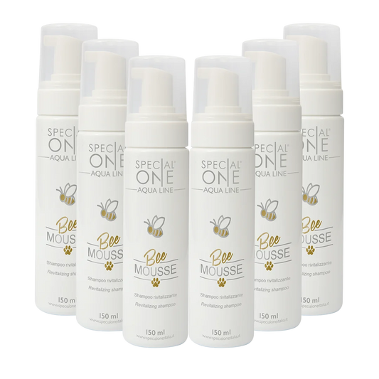 Bee Mousse Shampoo box of 6 150 ml by Special One professional dog grooming tool Southlake Paws