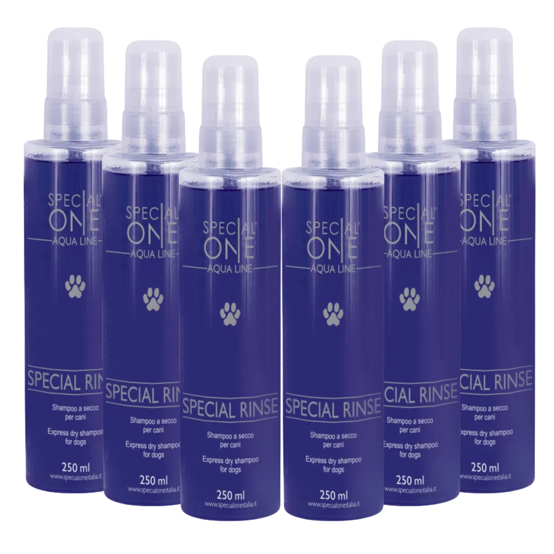 Dog Special Rinse Dry Shampoo box of 6 250 ml by Special One