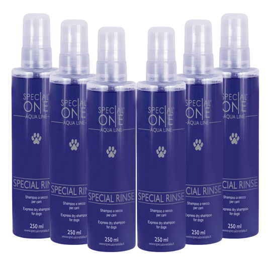 Dog Special Rinse Dry Shampoo box of 6 250 ml by Special One