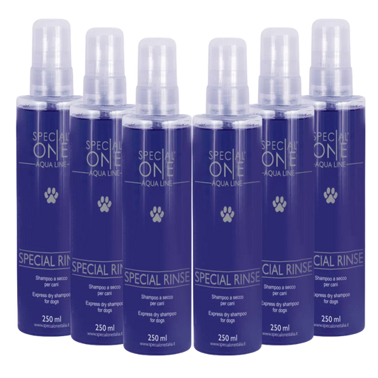 Special Rinse Dry Shampoo box of 6 250 ml by Special One