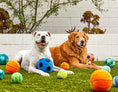 Load image into Gallery viewer, 3" Tennis Ball Plush Toy (3 Pack)
