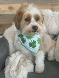 Load image into Gallery viewer, St Patricks Day Bandana

