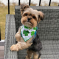 Load image into Gallery viewer, St Patricks Day Bandana
