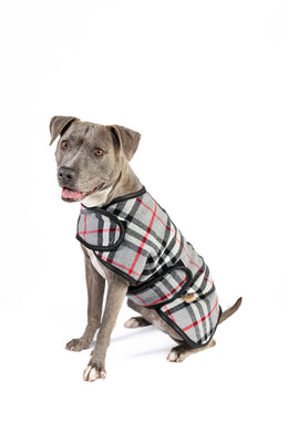 Steel Tartan Wool Dog Blanket Coat