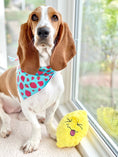 Load image into Gallery viewer, Strawberry Tie Dog Bandana
