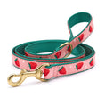 Load image into Gallery viewer, Strawberry Fields Dog Lead
