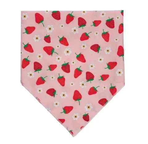 Up Country Strawberry Pet Bandana Made in USA Pet Accessory