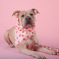 Load image into Gallery viewer, Strawberry Pet Bandana
