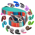 Load image into Gallery viewer, Stripe Dog Leash by EcoBark - Multicolor Padded Comfort Grip Leash - 4ft, 5ft, and 6ft Leash for Small and Medium Dogs
