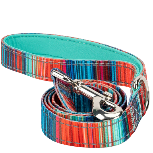 Multicolor Stripe Dog Leash by EcoBark with padded comfort grip, available in 4ft, 5ft, and 6ft lengths for small and medium 