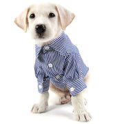 Stripe Long-Sleeve Button-Down Dog Dress Shirt