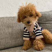 Striped Button-Down Cardigan Dog Sweater