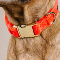 Load image into Gallery viewer, Suki Dog Collar

