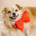 Load image into Gallery viewer, Suki Dog Babe Bow
