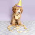 Load image into Gallery viewer, Ever So Sweet Step-in Harness
