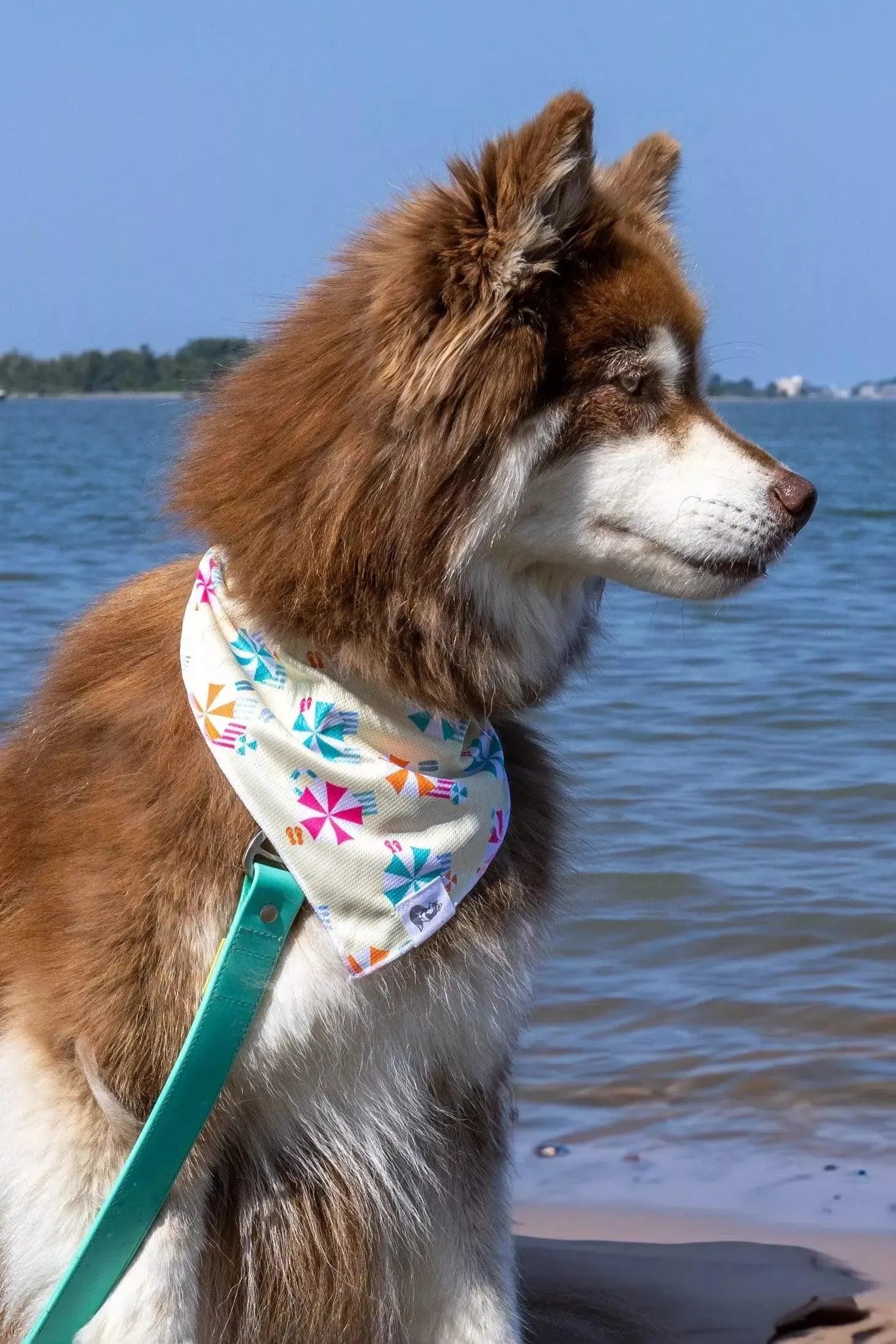 Sun & Shade Dog Bandana & Matching Keychain - Southlake Paws