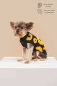Load image into Gallery viewer, Sunflower Days Sweater
