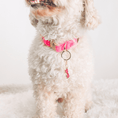 Load image into Gallery viewer, Sunglasses Pet Charm
