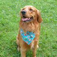 Load image into Gallery viewer, Sushi Dog Bandana -Design Faces Down
