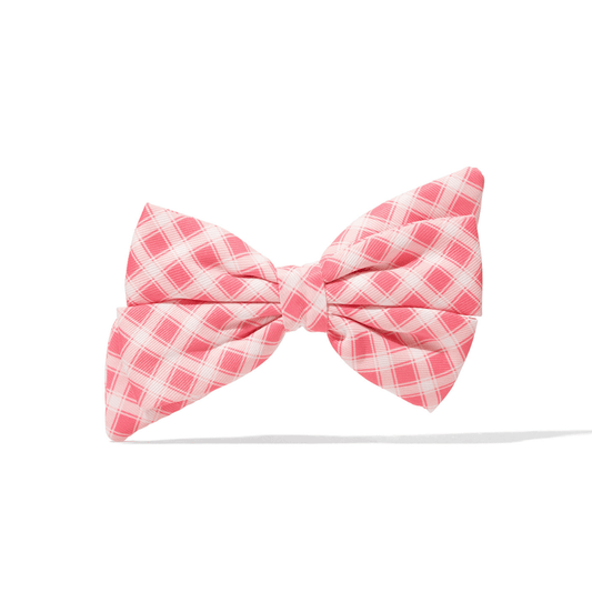 Sutton Dog Babe Bow