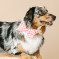 Load image into Gallery viewer, Sutton Dog Babe Bow
