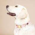Load image into Gallery viewer, Sutton Dog Collar
