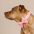 Load image into Gallery viewer, Sutton Dog Bow Tie
