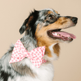 Load image into Gallery viewer, Sutton Dog Babe Bow
