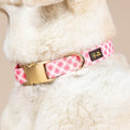Load image into Gallery viewer, Sutton Dog Collar
