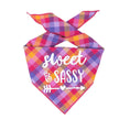 Load image into Gallery viewer, Sweet & Sassy Luxe Flannel Dog Bandana
