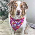 Load image into Gallery viewer, Sweet & Sassy Luxe Flannel Dog Bandana
