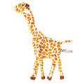 Load image into Gallery viewer, 12" Crinkle Flat Dog Toy Collection
