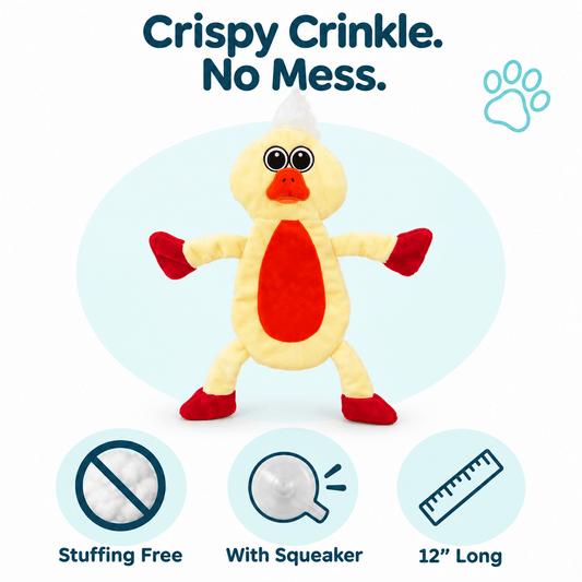 12" Crinkle Flat Dog Toy Collection