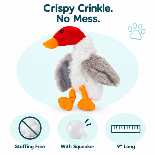 12" Crinkle Flat Dog Toy Collection