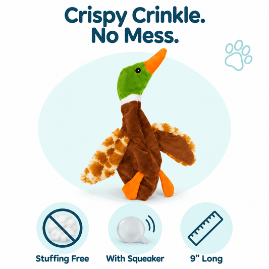 12" Crinkle Flat Dog Toy Collection