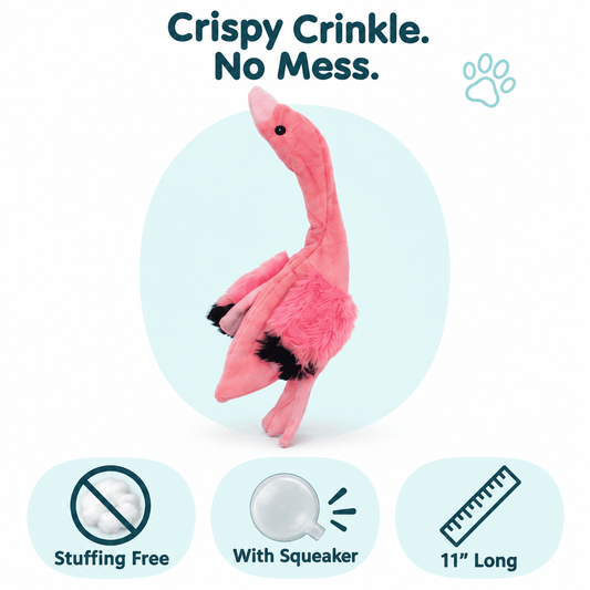 12" Crinkle Flat Dog Toy Collection