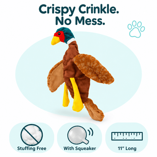 12" Crinkle Flat Dog Toy Collection