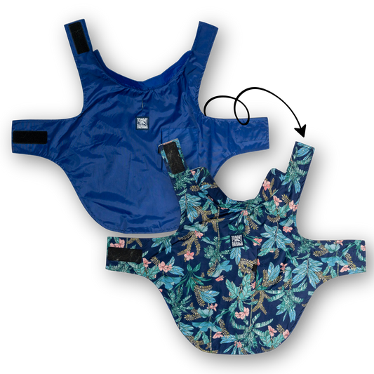 Tommy Bahama Pet - Frandy