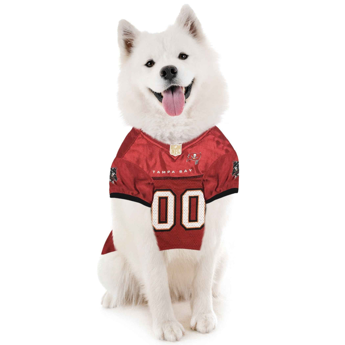 NFL Tampa Bay Buccaneers Striped Mesh Dog Jersey