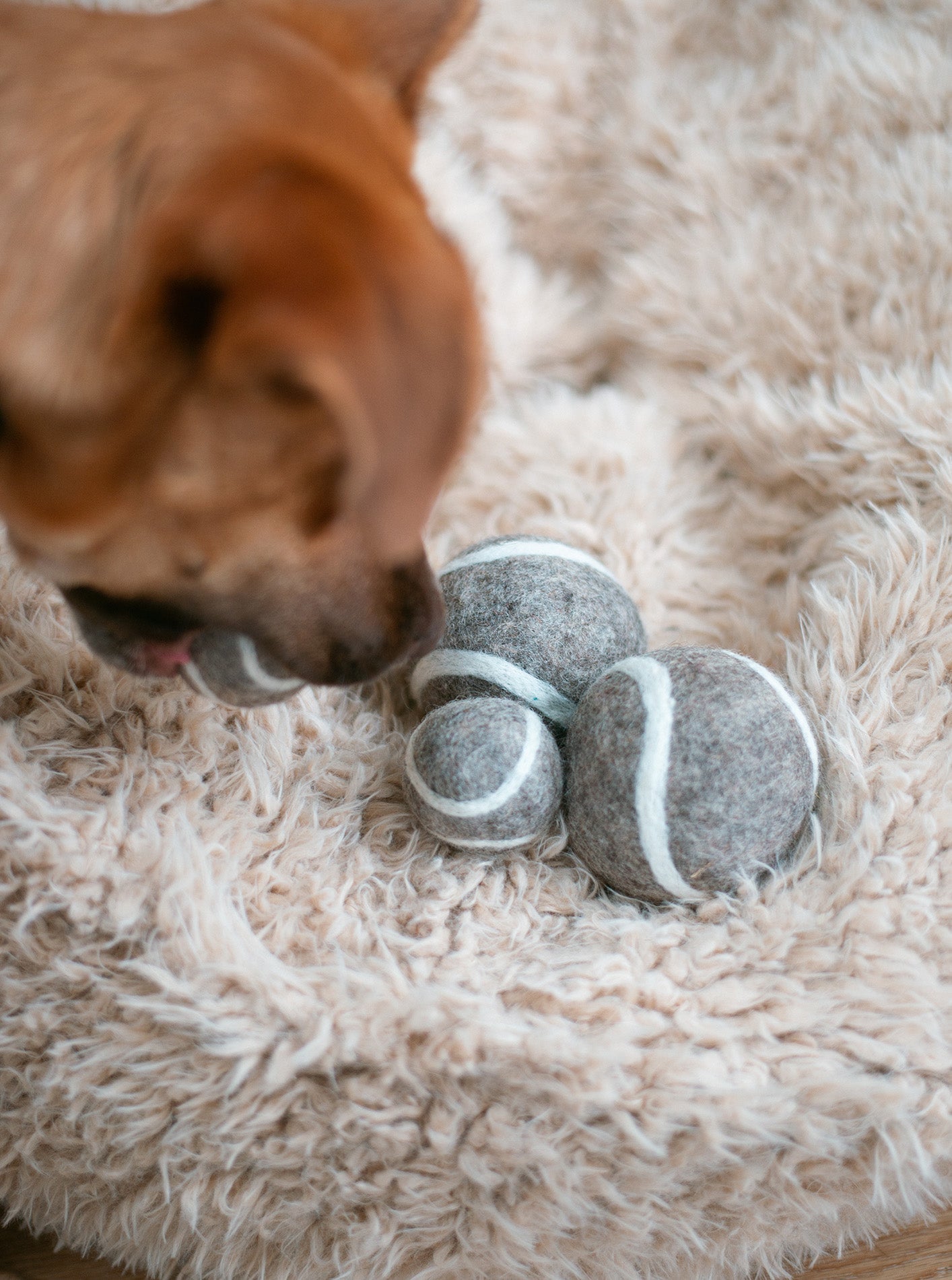 WOOL TENNIS BALL - Southlake Paws