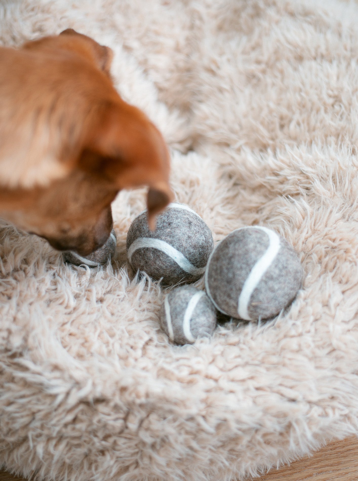 WOOL TENNIS BALL - Southlake Paws