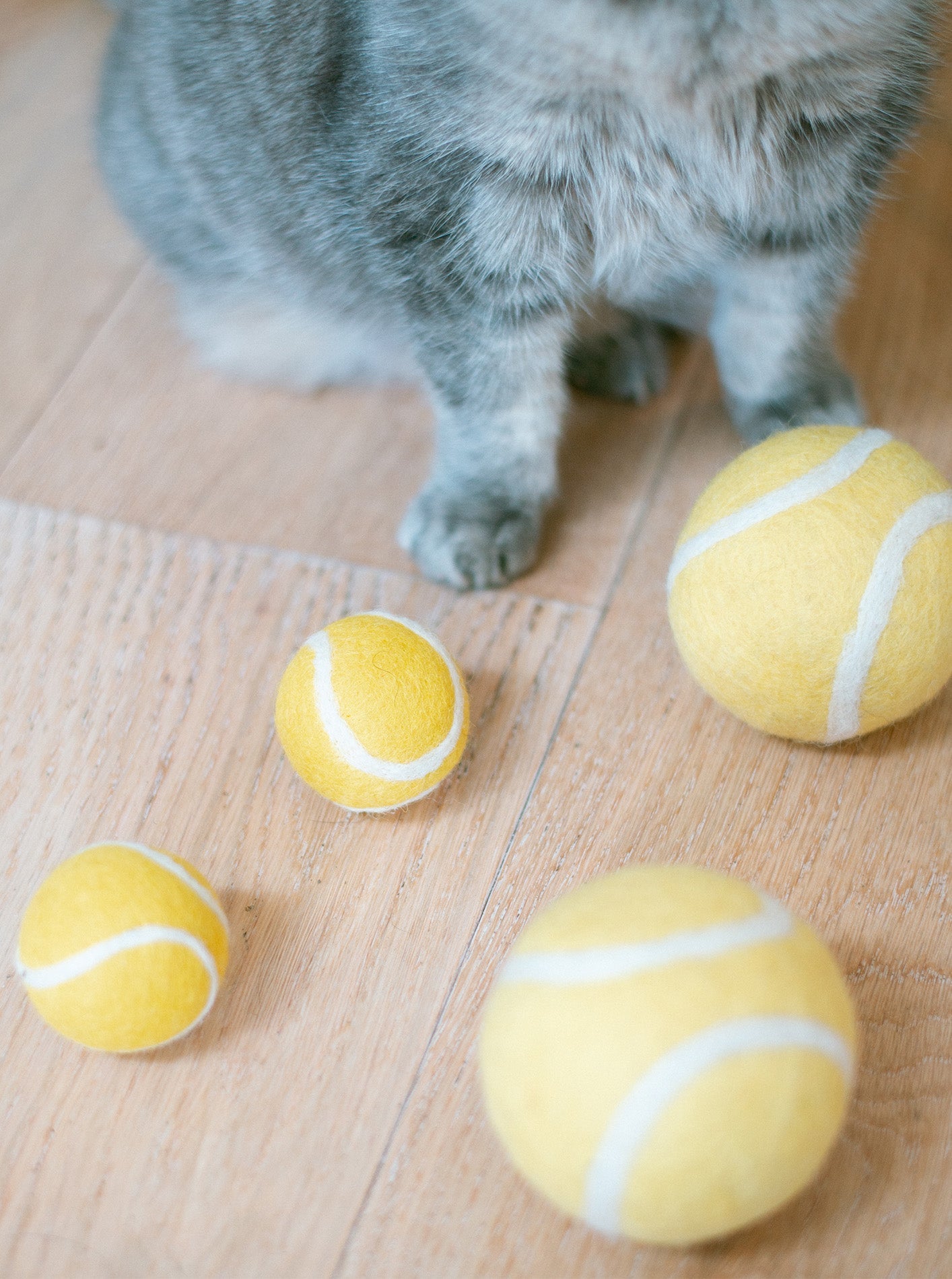 WOOL TENNIS BALL - Southlake Paws