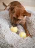 Load image into Gallery viewer, WOOL TENNIS BALL - Southlake Paws
