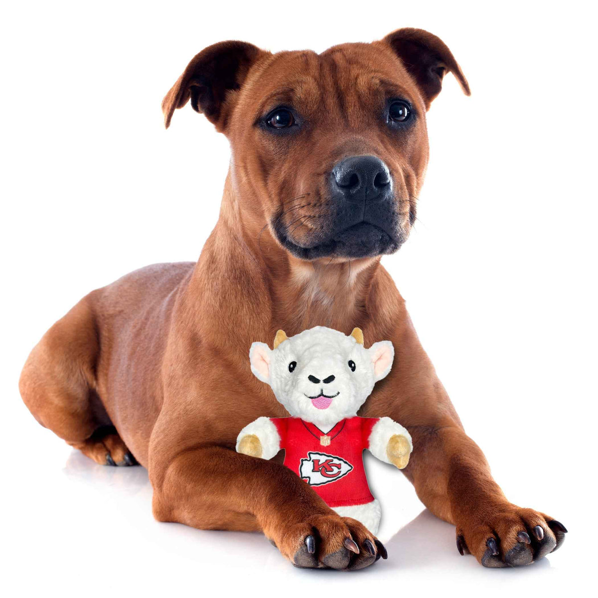 Travis Kelce (Kcc) Goat Plush Toy