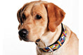 Load image into Gallery viewer, Beaded dog collar from Southlake Paws on a golden retriever, featuring colorful geometric patterns.
