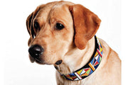 TKC Primary Beaded Dog Collar