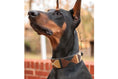 Load image into Gallery viewer, TKC Earth Beaded Dog Collar
