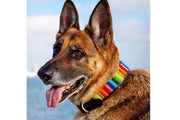 TKC Rainbow Beaded Dog Collar