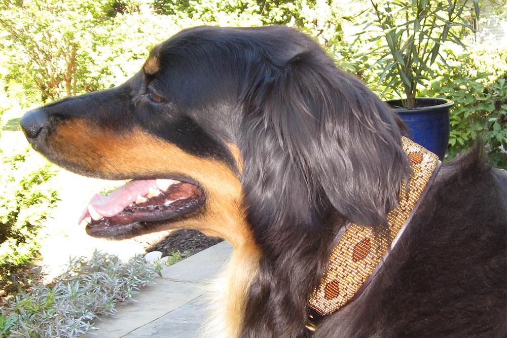 TKC Cheetah Beaded Dog Collar