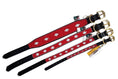 Load image into Gallery viewer, TKC Unity Beaded Dog Collar
